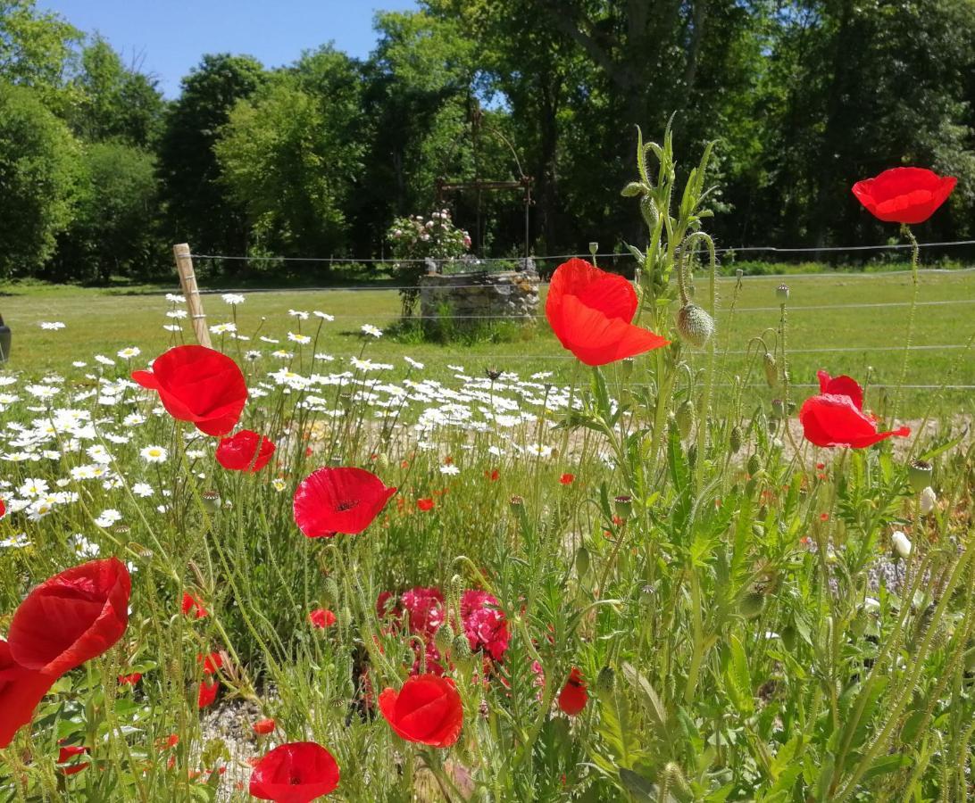 Chateau De Courmelois Champagne Guest House Val de Vesle Exterior foto