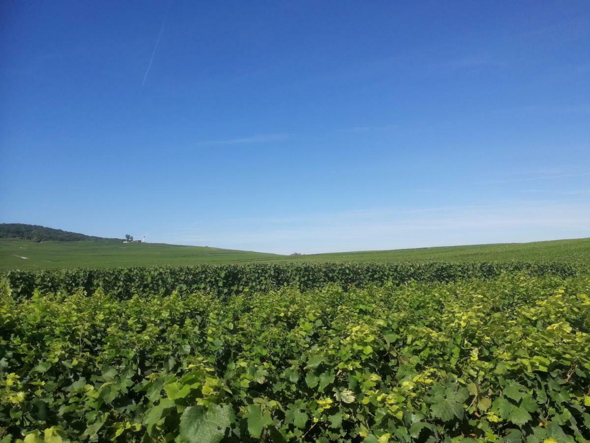Chateau De Courmelois Champagne Guest House Val de Vesle Exterior foto