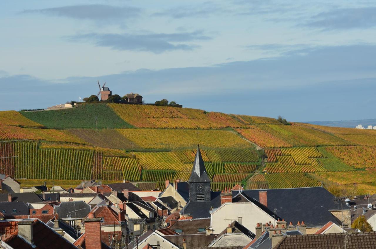 Chateau De Courmelois Champagne Guest House Val de Vesle Exterior foto